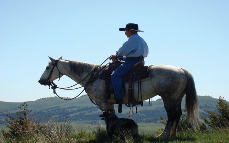  Ranch Cowboy School - Habibi World Travel & Tour America